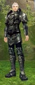 Скриншоты брони heavy