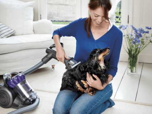 Пылесосы Dyson для владельцев домашних животных: как избавиться от шерсти Пылесосы Dyson для владельцев домашних животных: как избавиться от шерсти